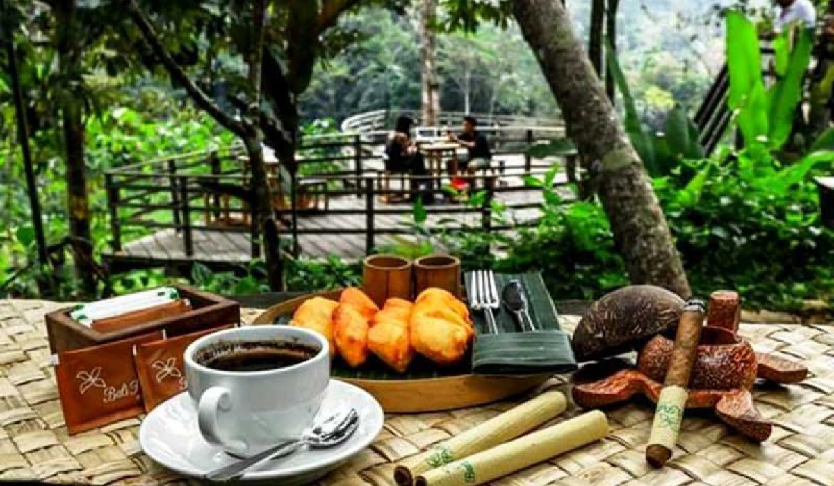 Agrowisata-Luwak-Coffee-Bali